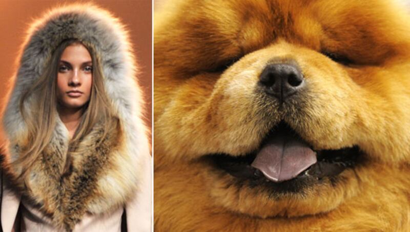 galleries/2010/02/16/westminster-fashion/westminster-fashion---thakoon_j89srl