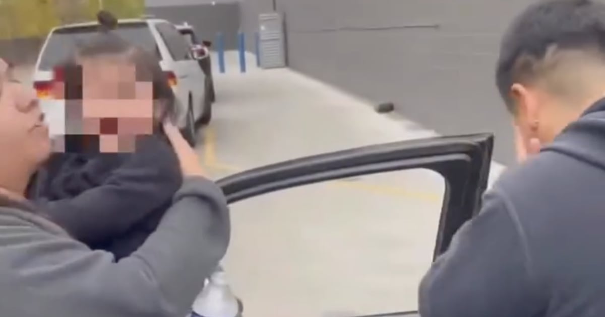 Baby Pepper-Sprayed by DHS Thugs During Family Grocery Trip