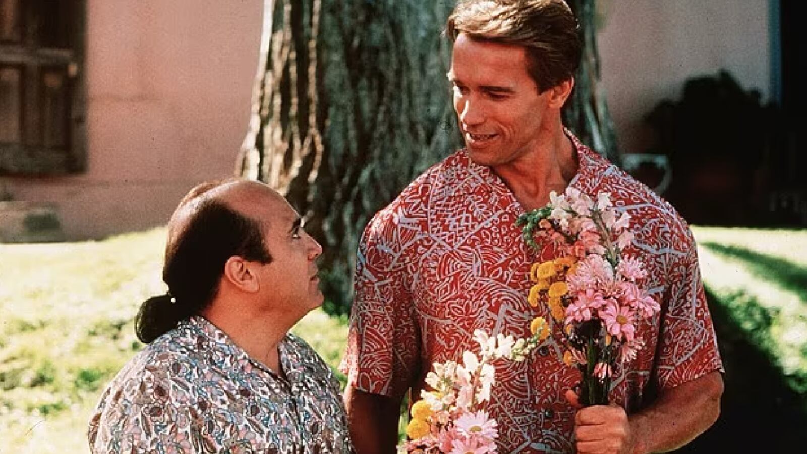 Danny Devito, Arnold Schwarzenegger