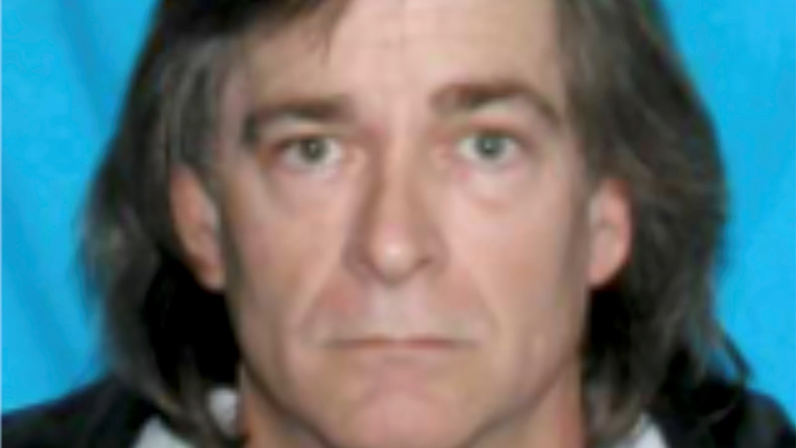 123020-nashville-lizard-cheat_adnrny