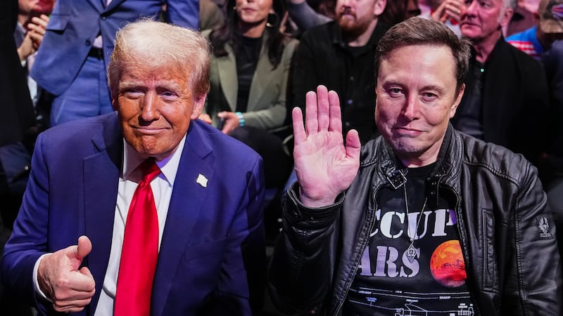 Bosom buddies: Donald Trump and Elon Musk whoop it up at a 2024 UFC 309 event at Madison Square Garden.