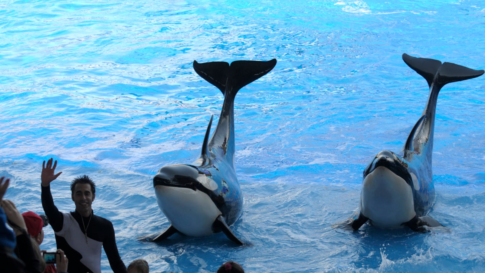 cheats/2011/08/17/lightning-strikes-seaworld-injuring-eight/seaworld-lightning-cheat_cloxu3