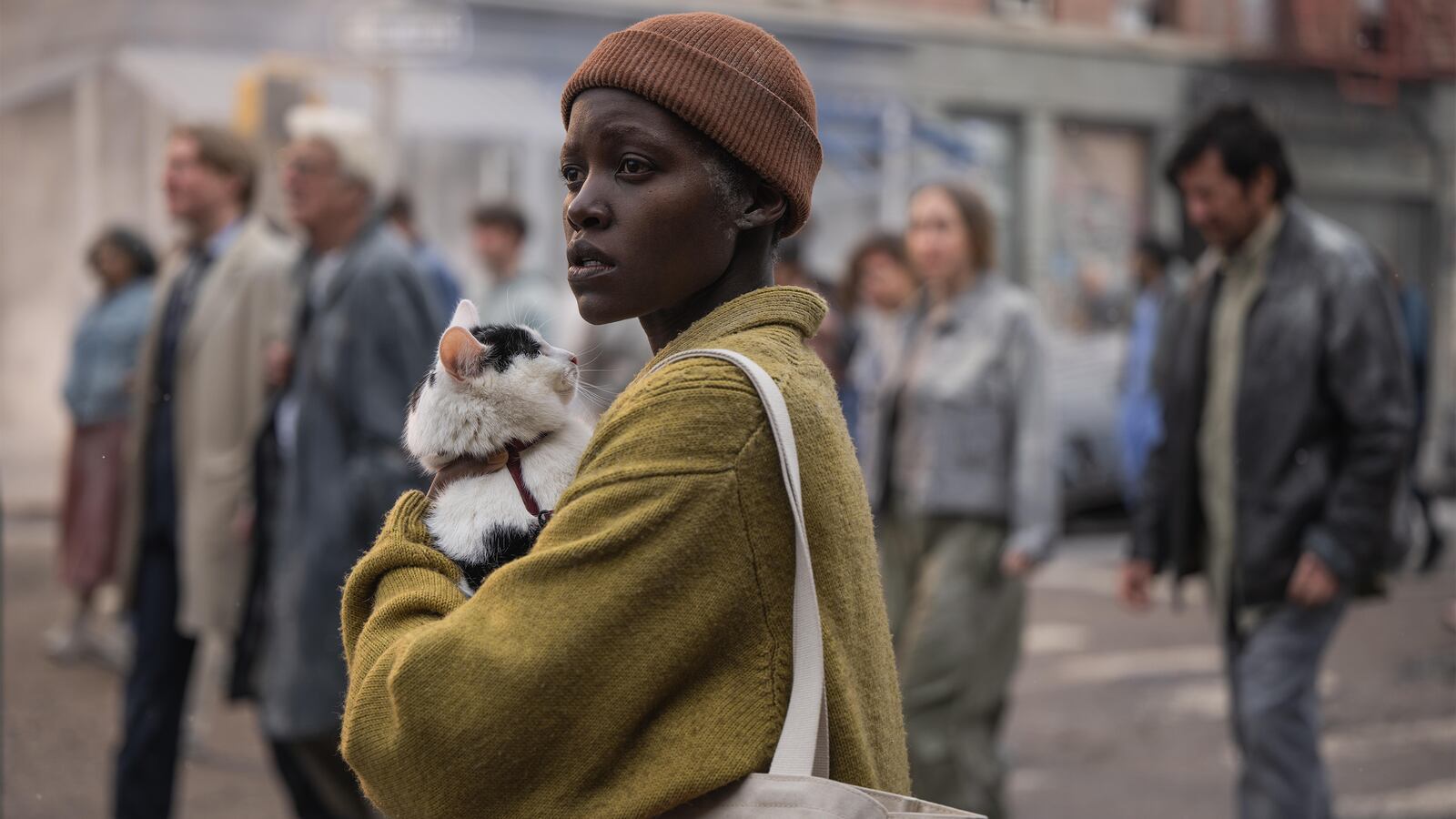 Lupita Nyong'o and Frodo the cat.