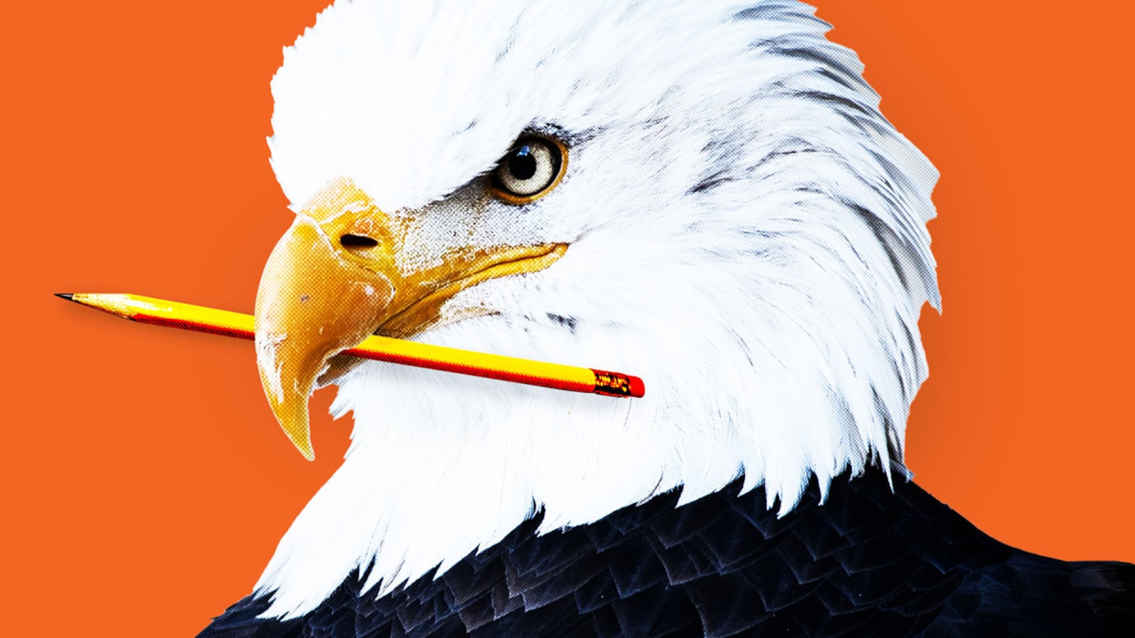 022223-taylor-education-hero_unlnbl