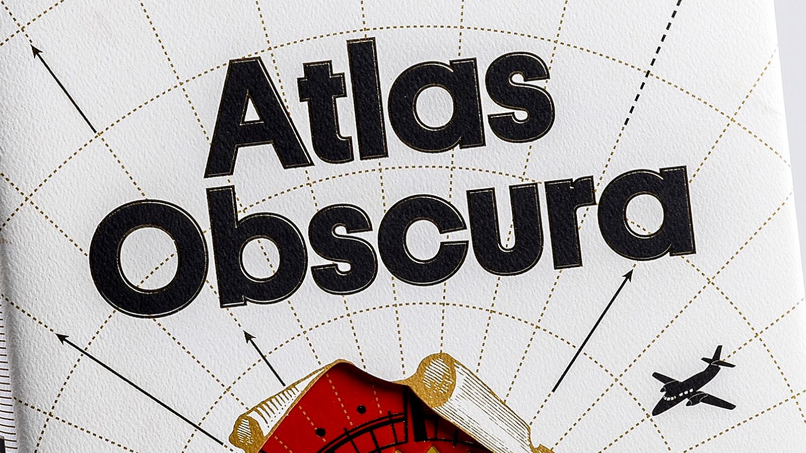 191014-tani-obscura-ceo-tease_whusel