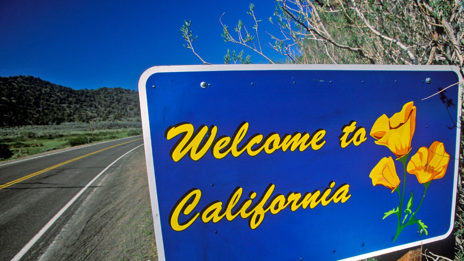 articles/2012/09/30/toxic-state-syndrome-as-california-declines-texas-rises/flee-california-gray_gridxt