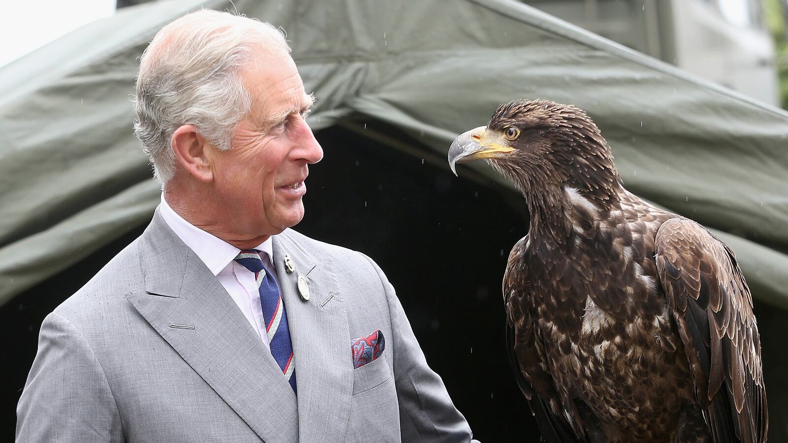 articles/2013/11/05/prince-charles-edits-country-life-magazine/130801-prince-eagle-tease_kdscrw