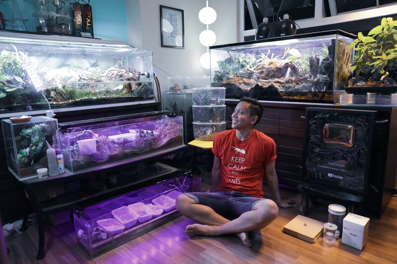 1_lqAcNKqzm-9RSVUcXWyilA_wlobaj