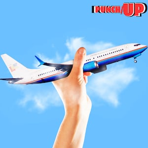 A photo illustration of a hand grabbing a DHS Boeing 737-8 MAX plane from the sky for PunchUp.