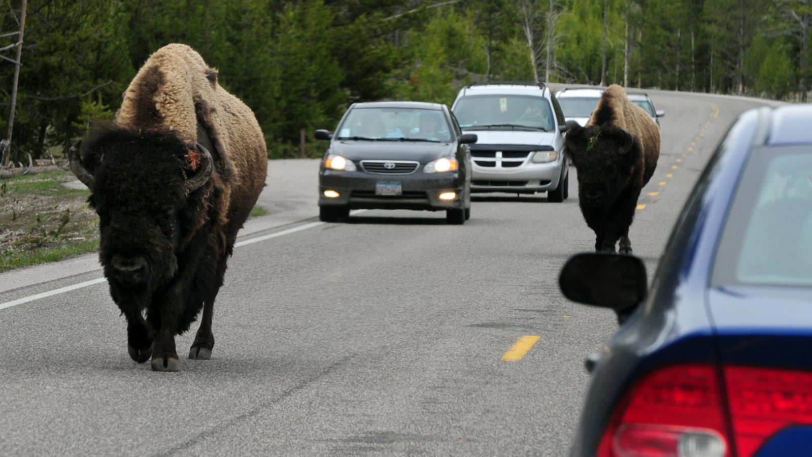 GettyImages-115031251_xuxyak