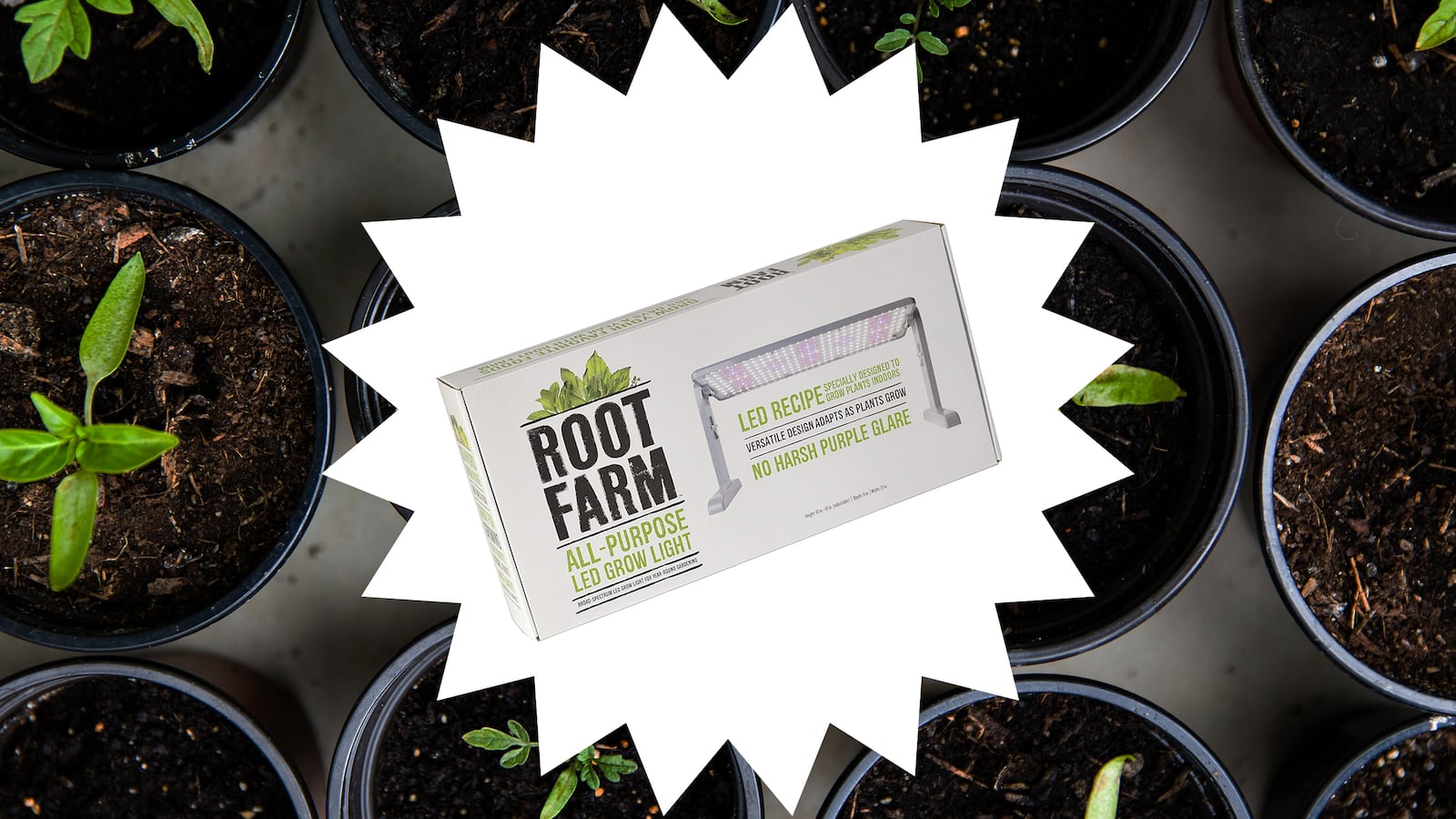 Whats-your-perfect_szfhp6