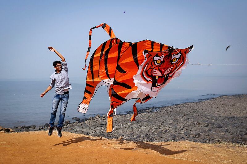 galleries/2014/01/11/week-in-photos-january-11-2014/140109-kite-wip_ddlntc