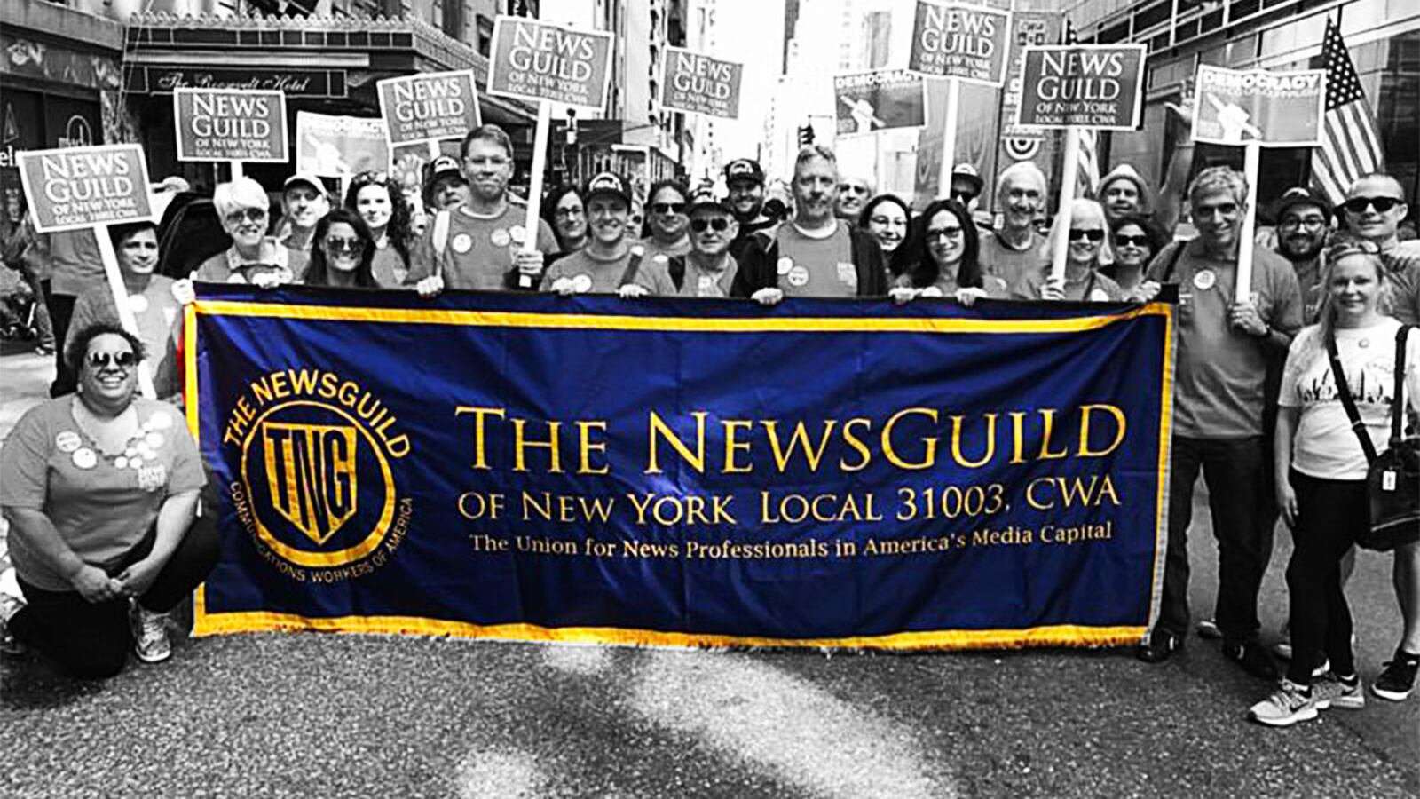 200518-stein-newsguild-tease_tp33db