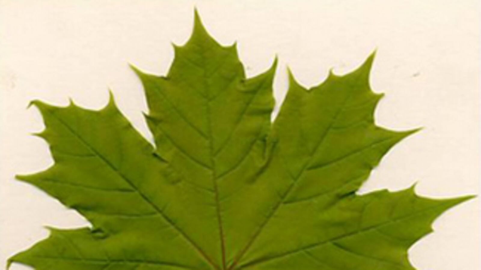 articles/2013/01/18/canada-s-latest-monetary-scandal/canada-s-latest-monetary-scandal-image_p2xfxe