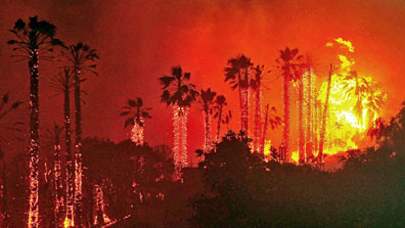 cheats/2009/05/09/santa-barbaras-ring-of-fire/santa-barbara-fires_jszndw