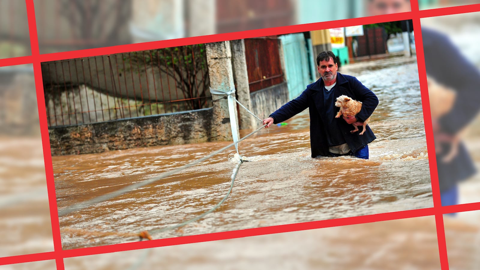 PetEmergencyPrep_h4fgs7