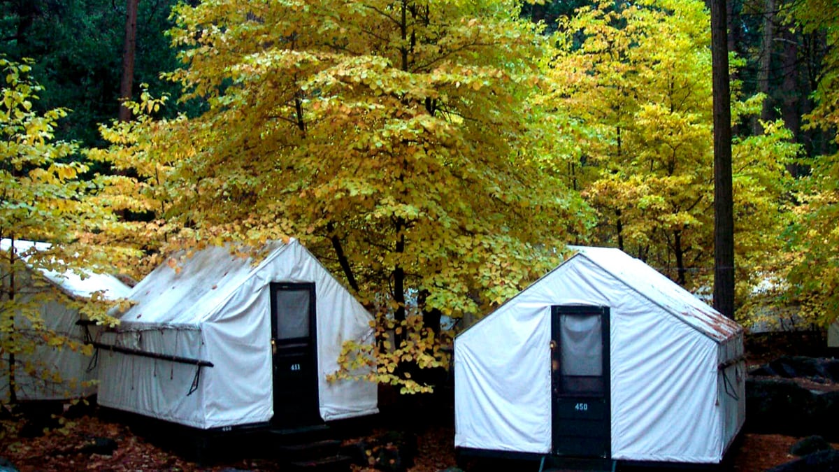 cheats/2012/08/31/deadly-virus-strikes-yosemite/yosemite-deer-mice-hantavirus-cheat_ainhd4