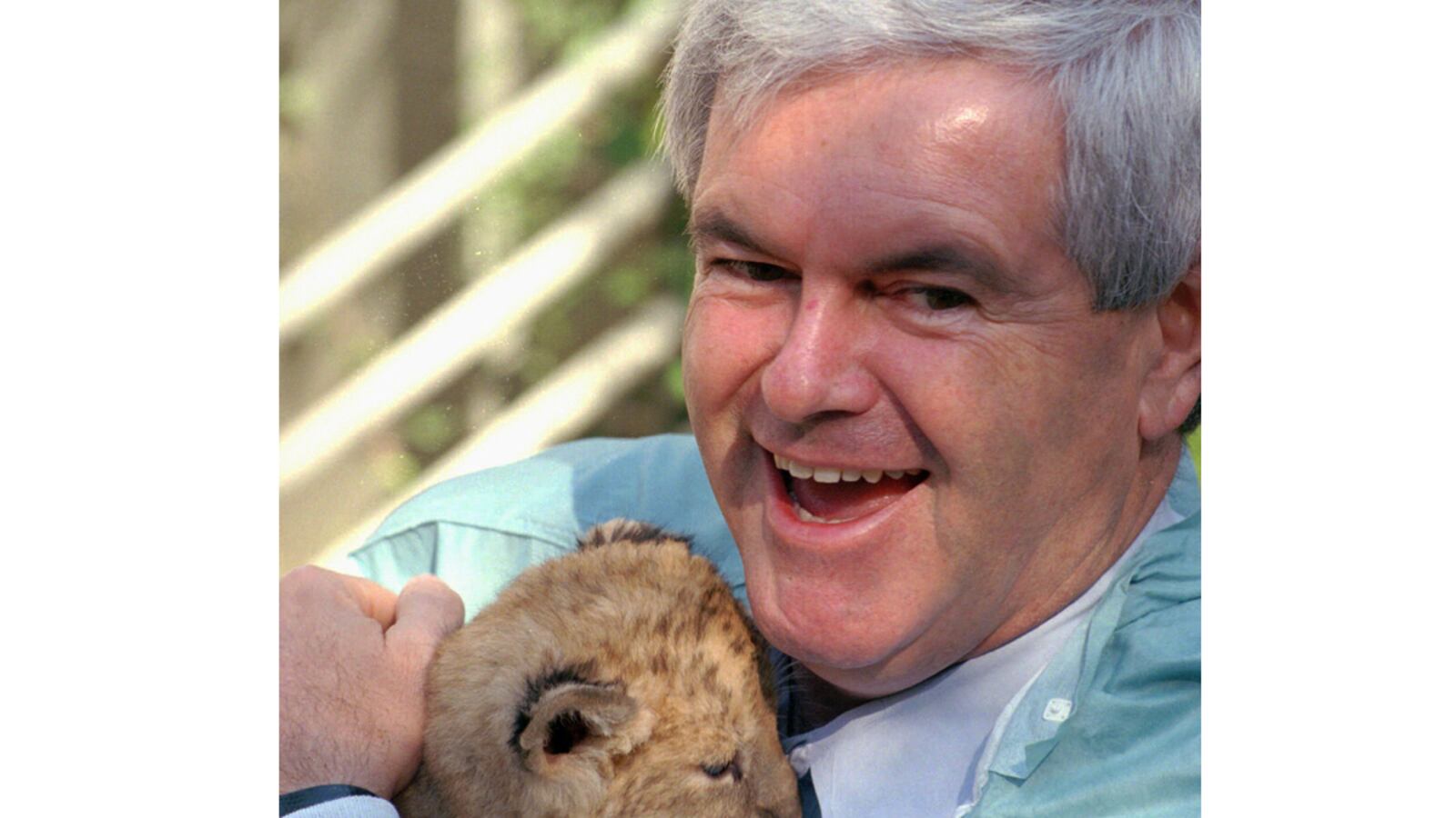 cheats/2011/12/10/newt-loves-zoos/newt-gingrich-loves-zoo-cheat_tef3ts