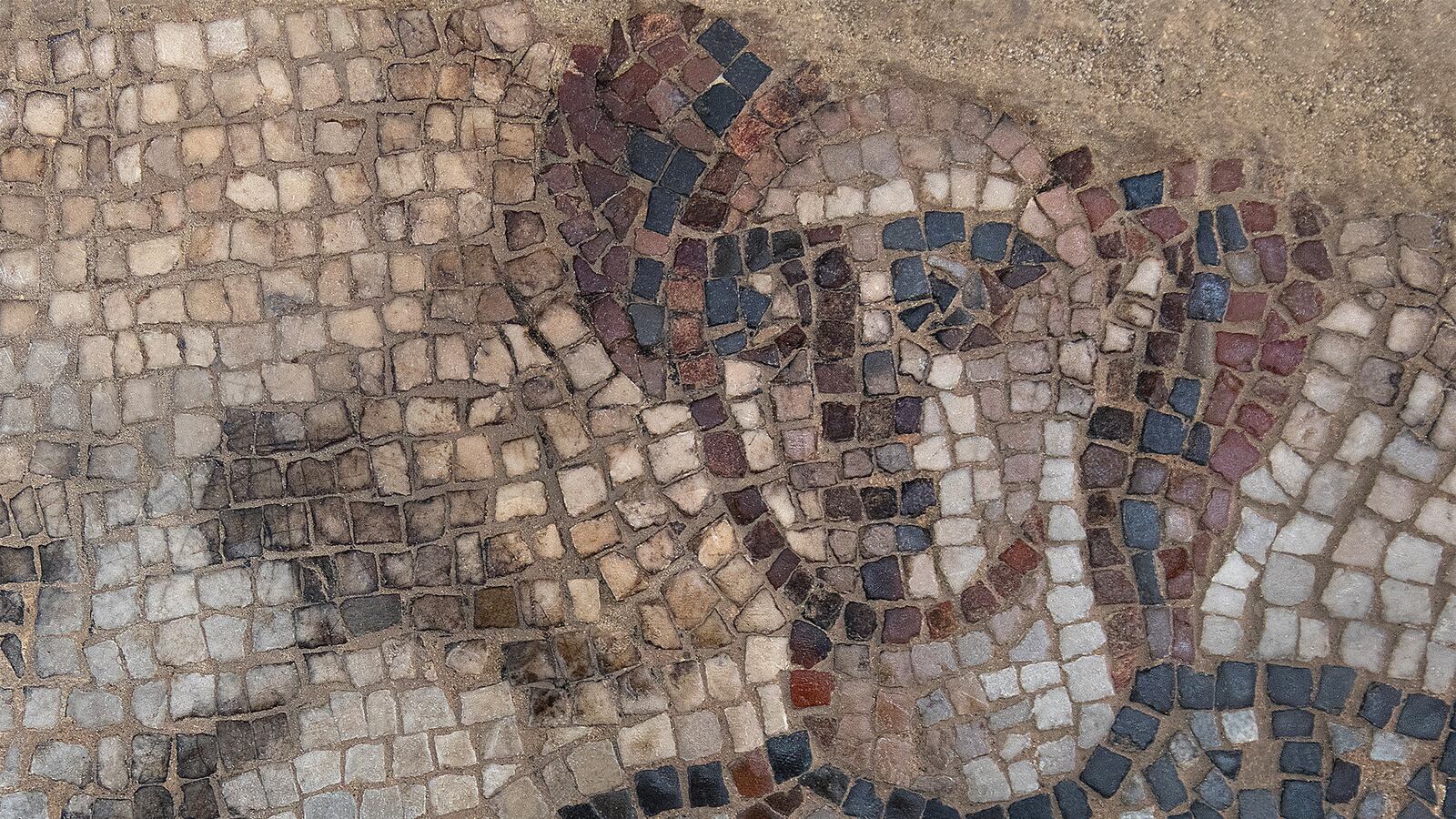 220712-bible-heroines-tease-01_ew63eo