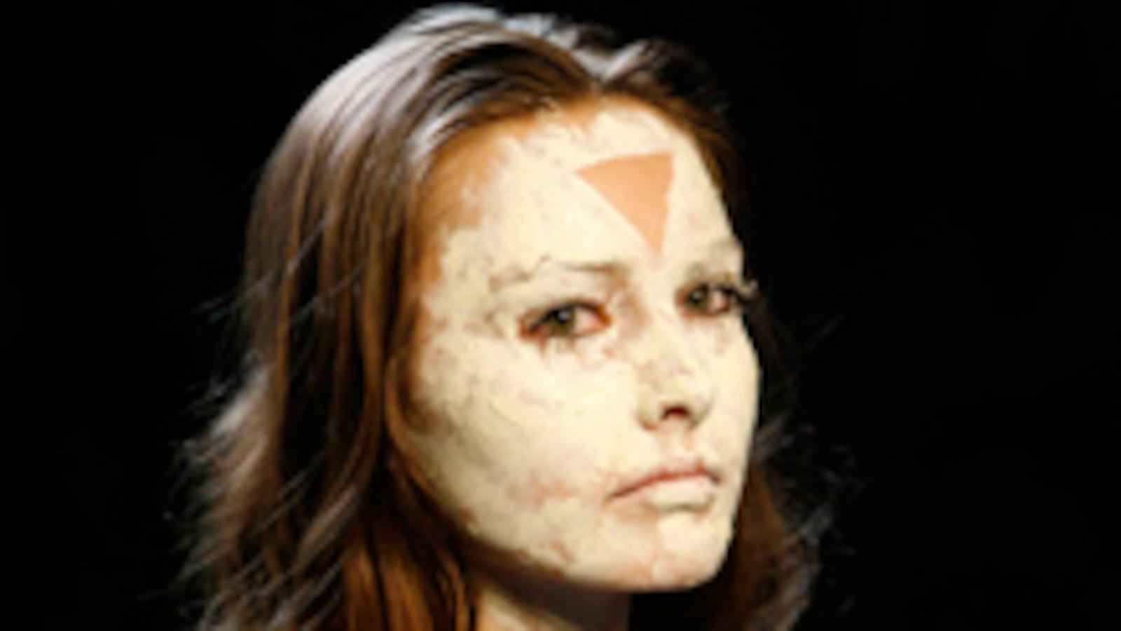 articles/2009/07/15/top-runway-faux-pas/honigman---political-fashion---patrick-mohr_npguu7