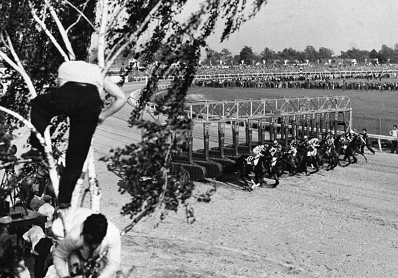 galleries/2011/05/05/top-racehorses/top-racehorses---johnstown_onpe3b