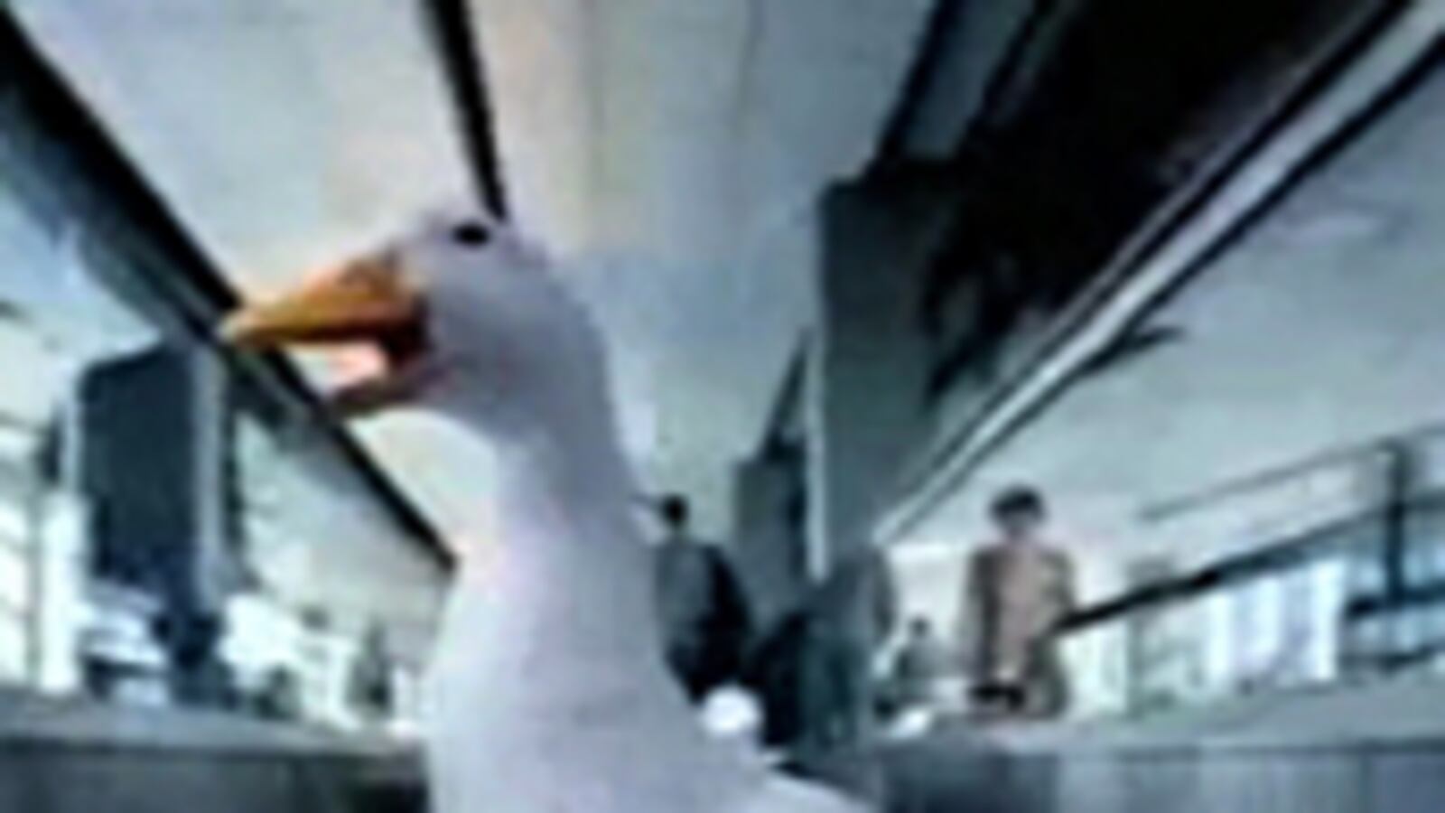 articles/2011/03/31/rebecca-black-charlie-sheen-sarah-palin-and-more-aflac-duck-auditions/video-aflac-commercials_170455_lk355x