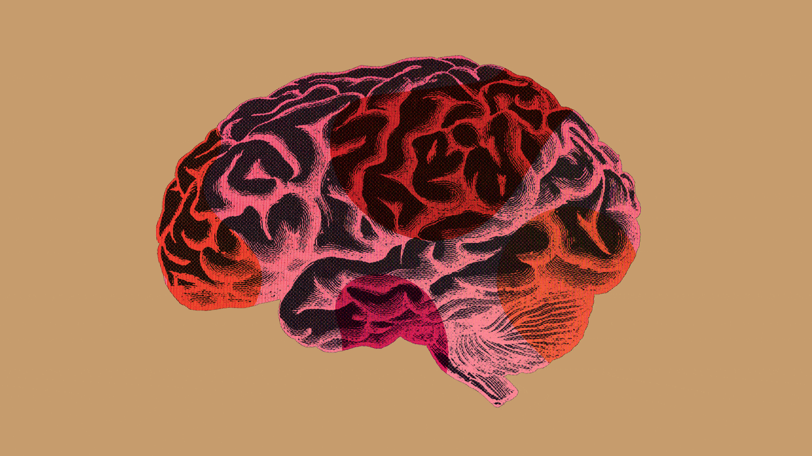 031423-kiper-brains-hero_qhev2r