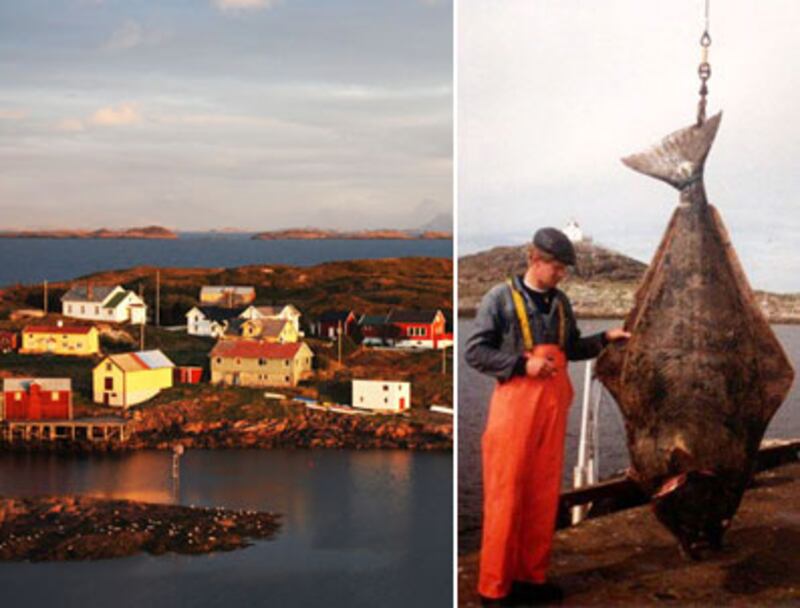 articles/2010/06/26/summer-food-dinner-in-norway/menin-summer-food-series-1_107140_v9yeqx