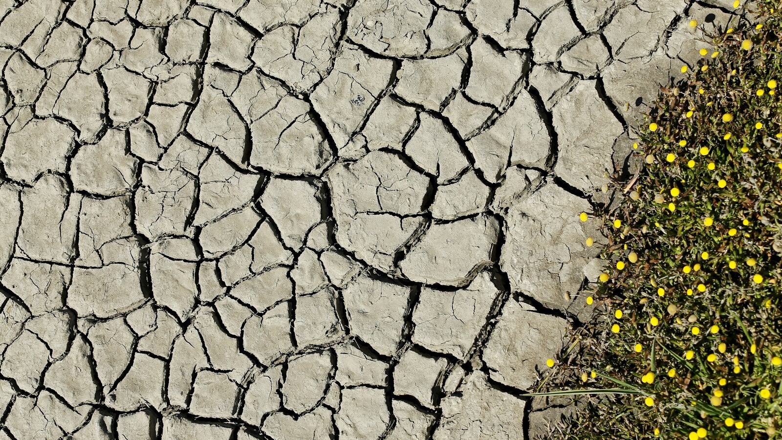 cheats/2017/04/08/california-drought-is-officially-over/170408-california-drought-declared-over-cheat_u2fedf