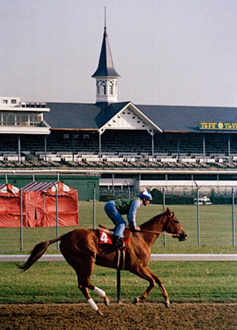 galleries/2011/05/05/top-racehorses/top-racehorses---affirmed_wvwrcv