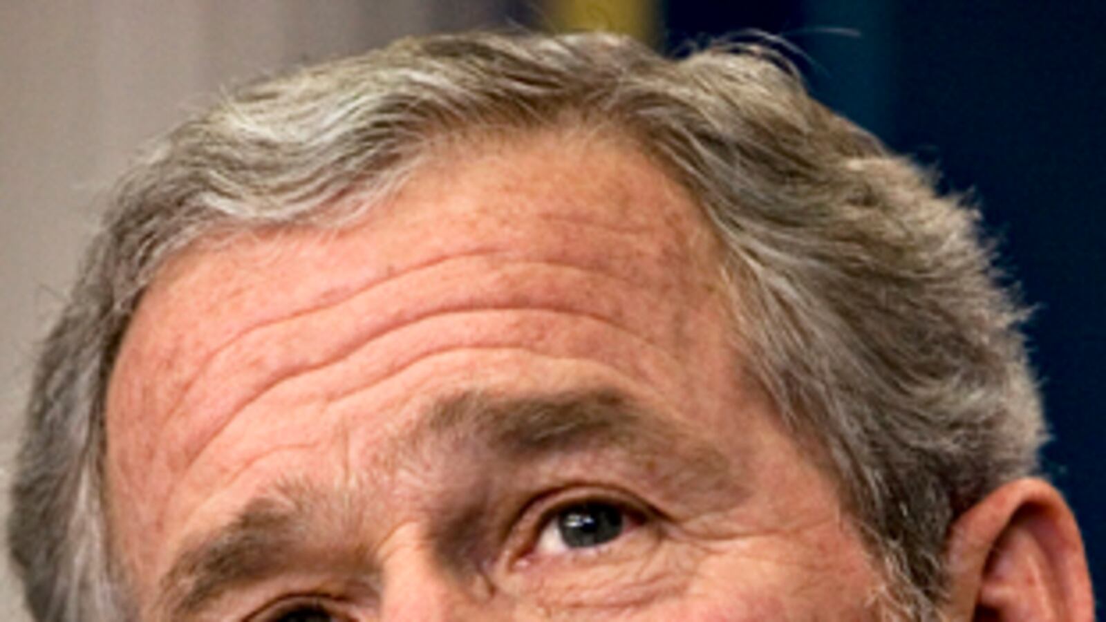cheats/2009/01/18/no-end-of-bush/george-w-bush_bs39jn