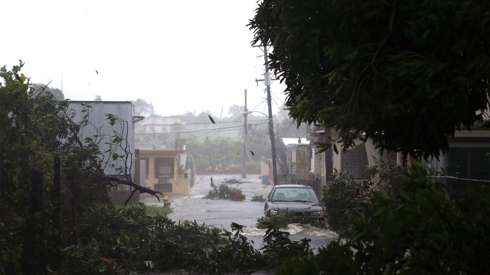 170907-venes-irma-puerto-rico-tease_zbr77u