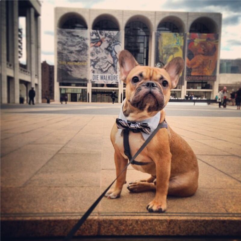 galleries/2013/09/15/13-best-fashion-instagrams-of-the-week/130912-wesley_kasqnf