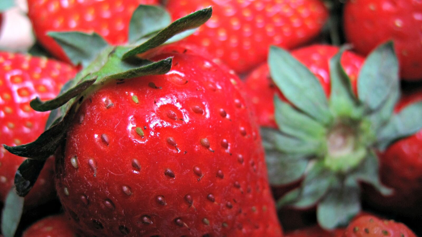 cheats/2016/08/30/40-va-cases-of-hepatitis-a-tied-to-smoothies/160830-strawberry-hepatitis-A-cheat_hr56eu