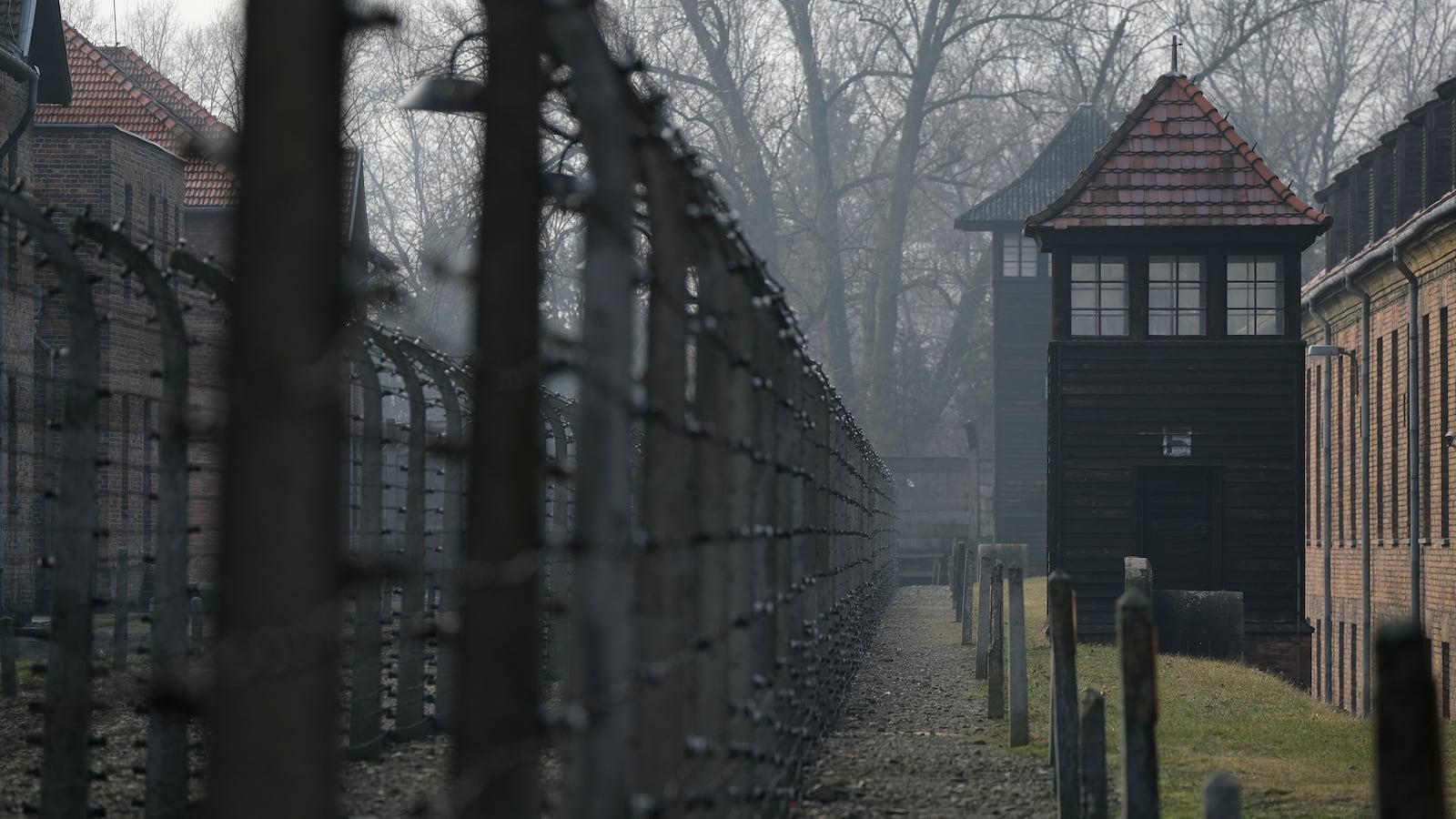 GettyImages-1130124962_clk4yf