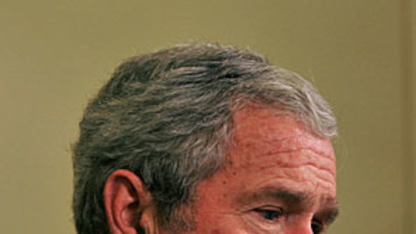 cheats/2009/01/12/bushs-economy-worst-in-generations/president-bush_g7hqng