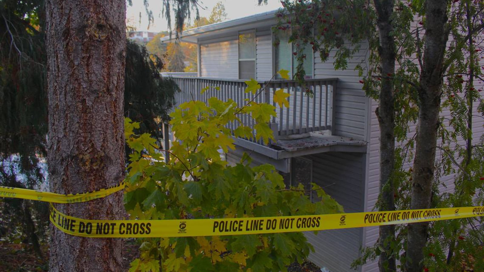 GettyImages-1245370076_wbj8qi