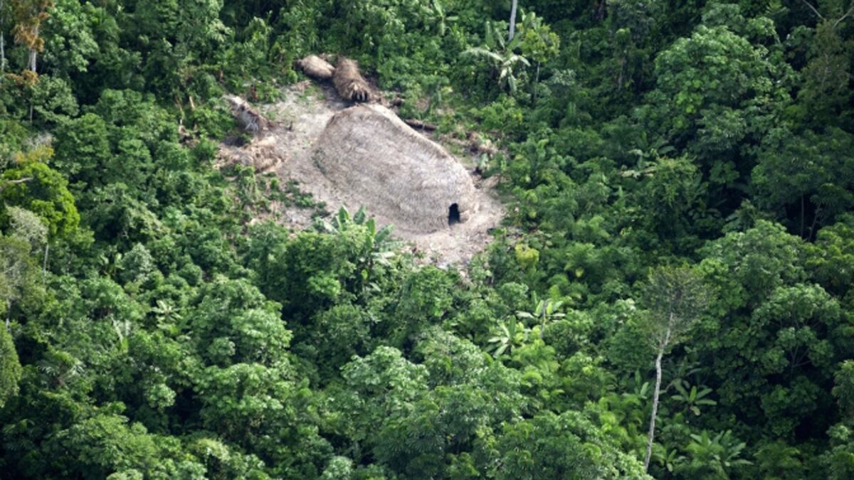 cheats/2011/06/23/uncontacted-tribe-found-in-amazon/amazon-tribe-uncontacted-cheat_xdivgb