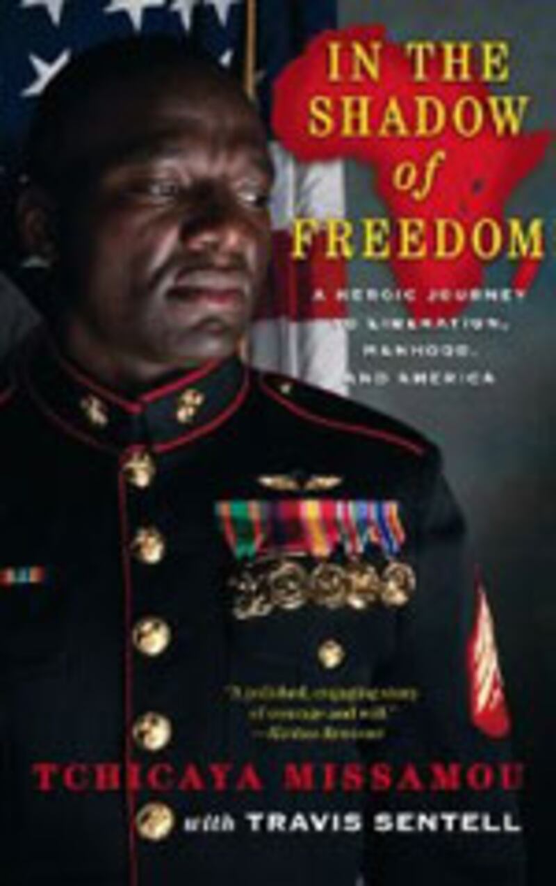 articles/2010/09/08/ape-house-the-warmth-of-other-suns-and-other-hot-reads/hot-reads-97---freedom_jkbdgg