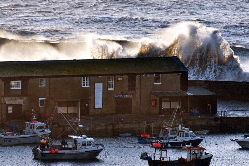 galleries/2011/10/27/photo-of-the-day/photo-of-the-day-111213-1_dpbkhm