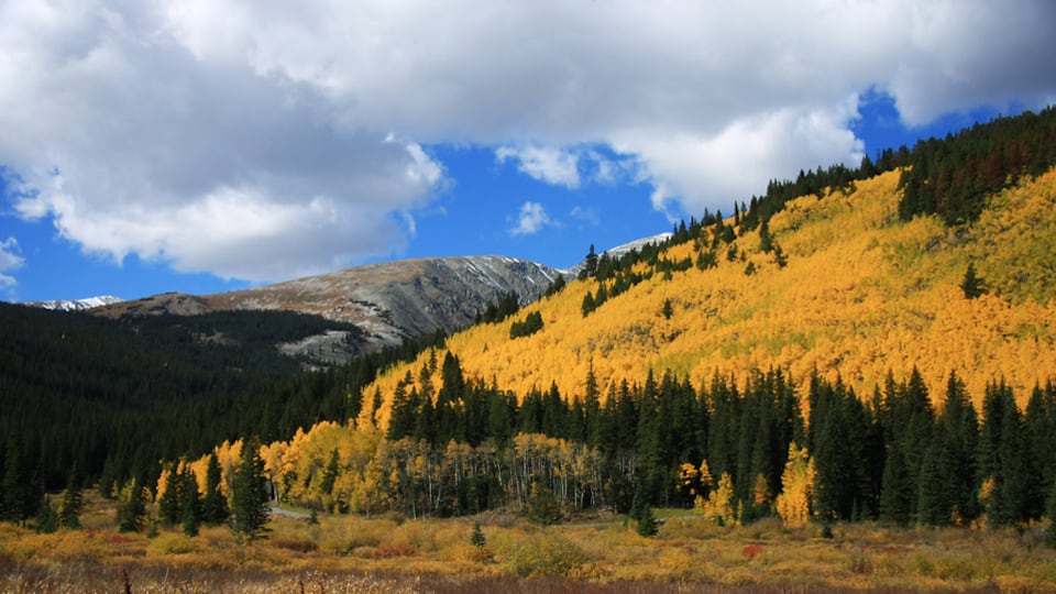 galleries/2010/09/17/fall-hikes/fall-hikes---kenosha-pass-colorado_u096gj
