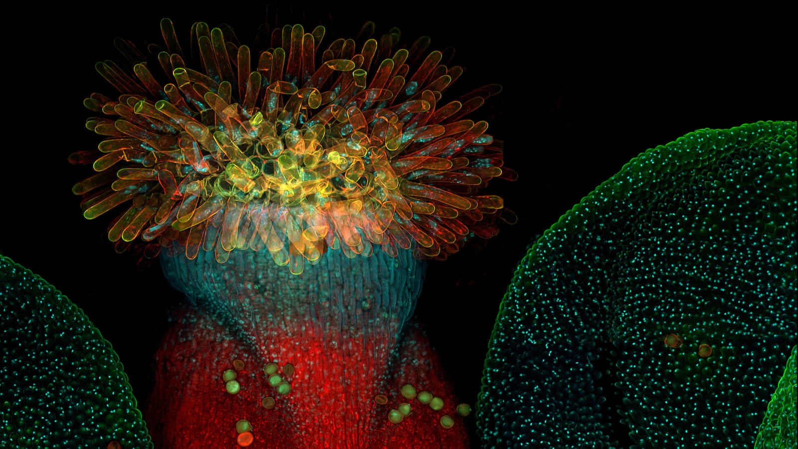 GettyImages-1405080048_i5is8n