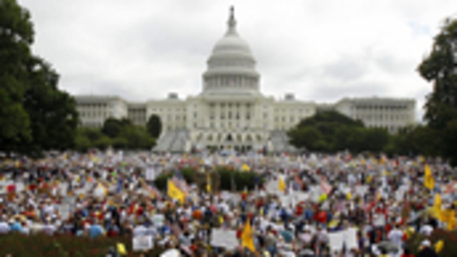 articles/2009/09/14/becks-beast-unleashed/avlon-dc-taxpayer-protest_49160_x59whf