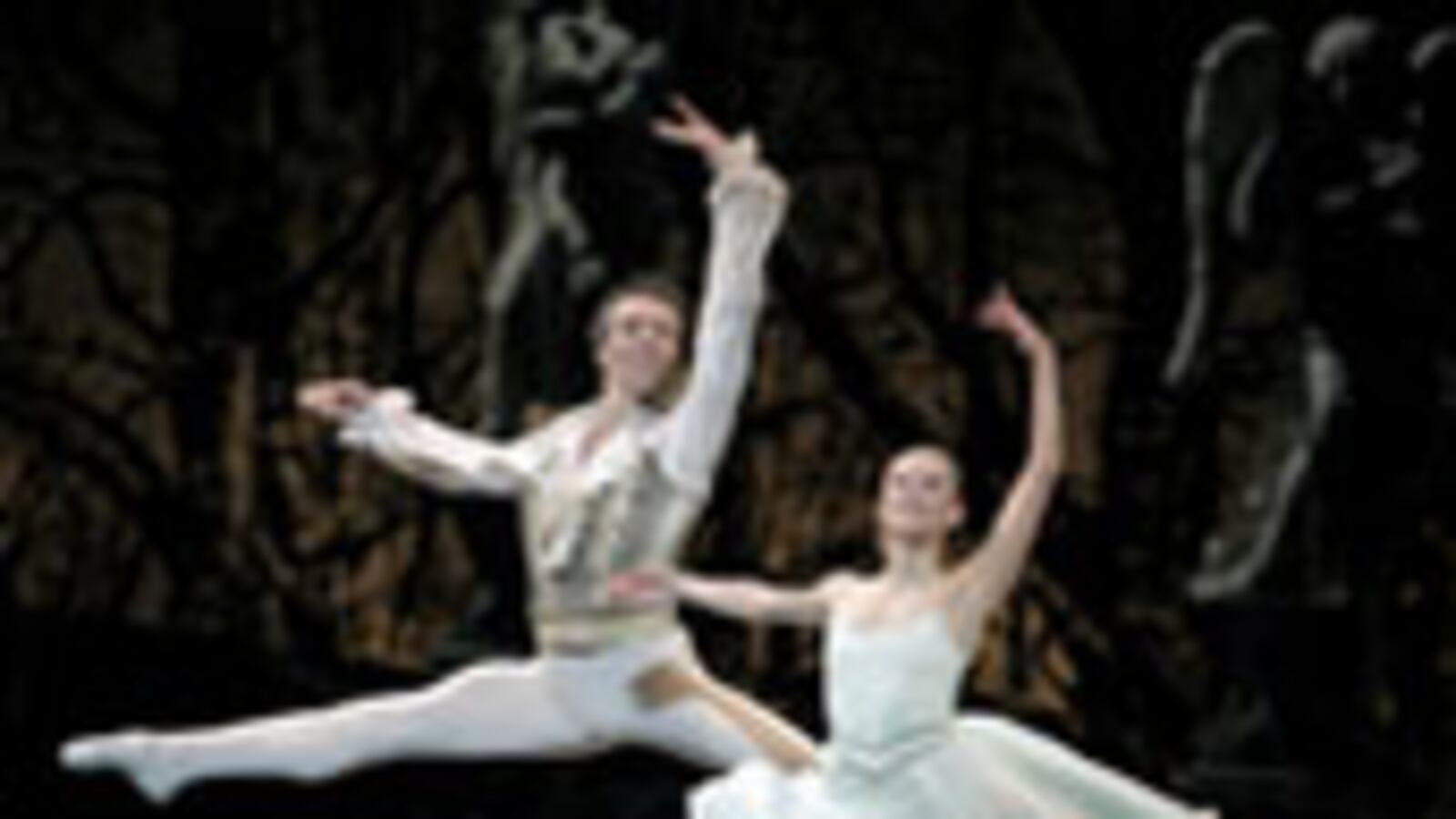 articles/2009/11/22/frederick-wisemans-best-scenes/morris-curator_64467_zjgkls