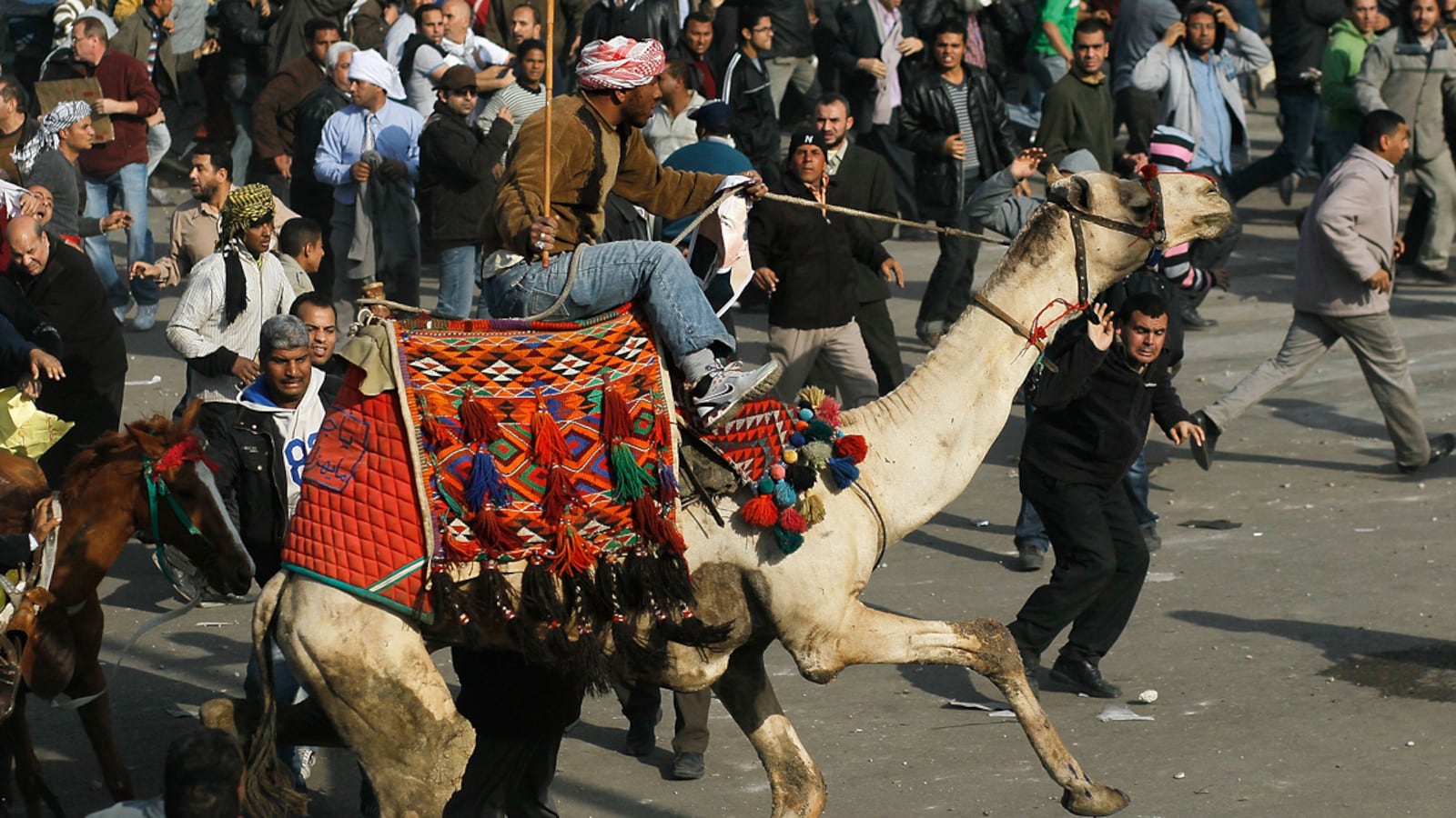 articles/2011/09/14/battle-of-the-camels-justice-for-some-in-hosni-mubarak-s-old-regime/camel-battle-egypt-beach_hwj0v9