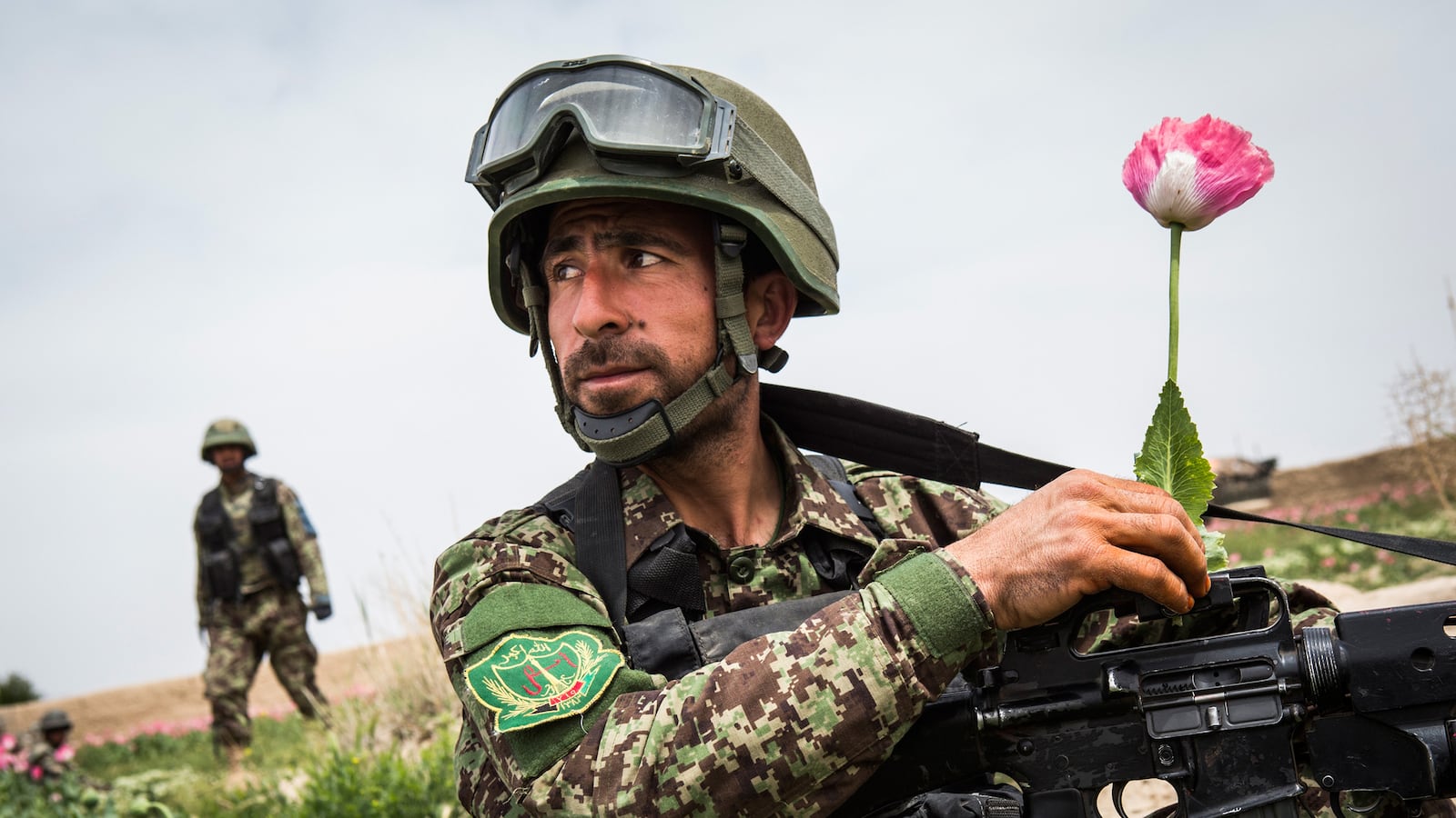 articles/2014/12/08/afghanistan-we-hardly-knew-you/141207-foreman-afghan-roses-tease_rplirt