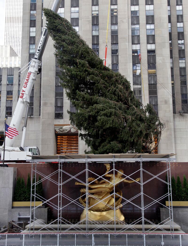 galleries/2012/11/28/sandy-vs-santa-a-tale-of-two-holidays-photos/trees-holiday-vs-sandy1_grwu7v