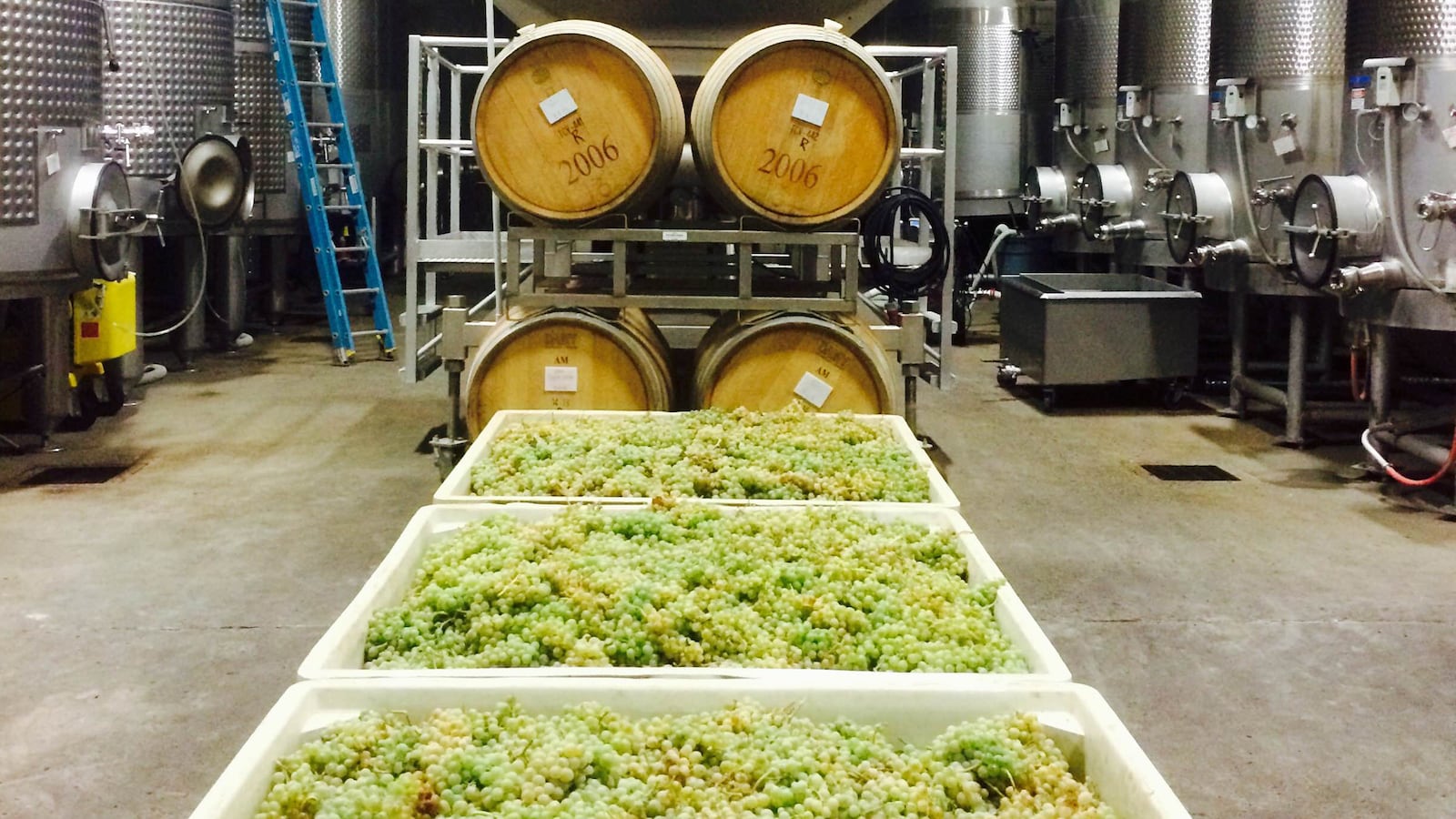 180803-Rothbaum-Tablas-Creek-Vineyard-hero_uoyuyu