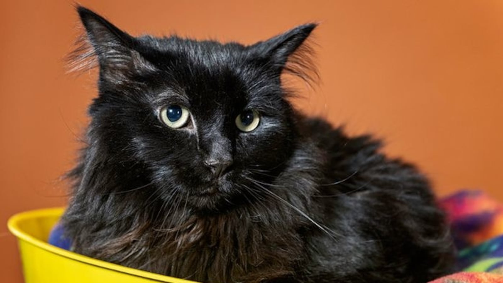 DOSMA3ERQBGT7NQZ7B6HM2QSEM_t5ek4f