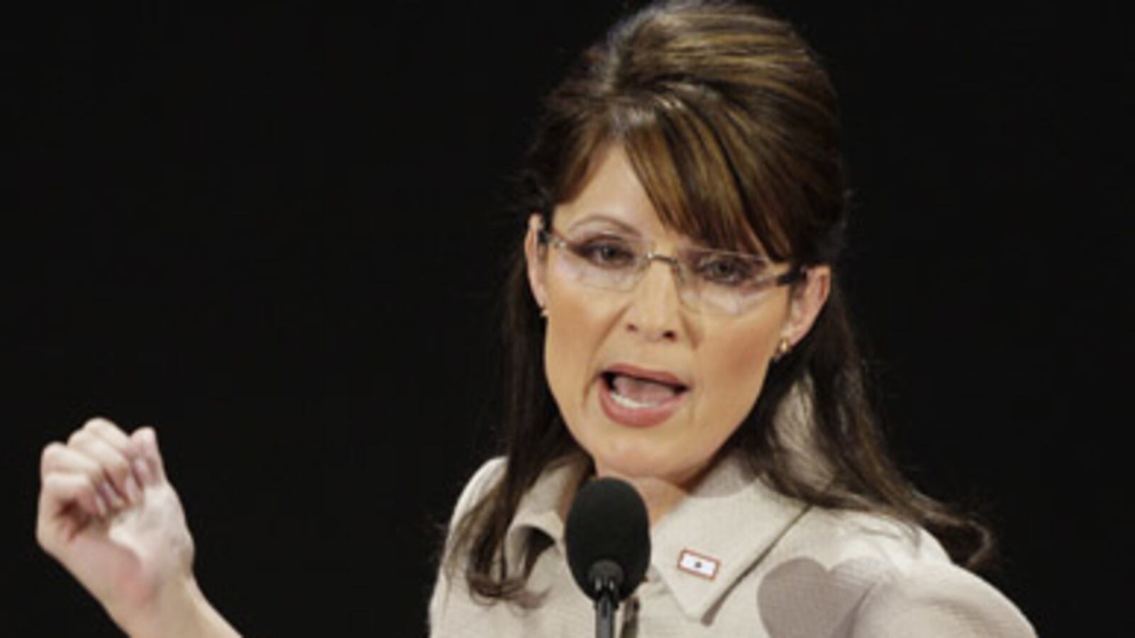 cheats/2009/10/19/sarah-palin-posts-her-resume/denby-sarah-palin_wlhcqz